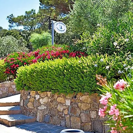 Residence, 4* Calvi (Corsica)
